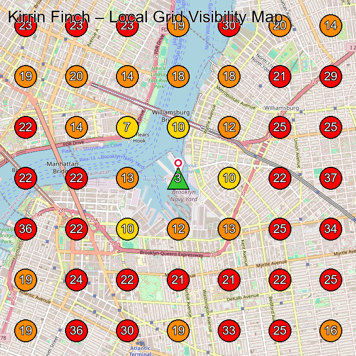 Kirrin Finch GeoGrid visibility map for Clothing Store in Brooklyn